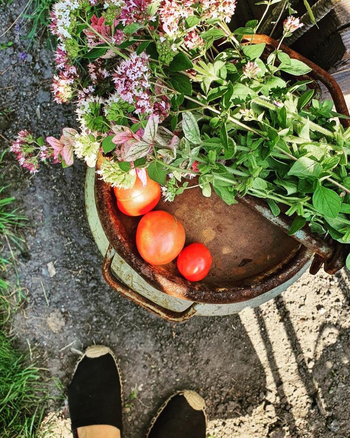 Babie Lato B&B Uniejow Bagian luar foto