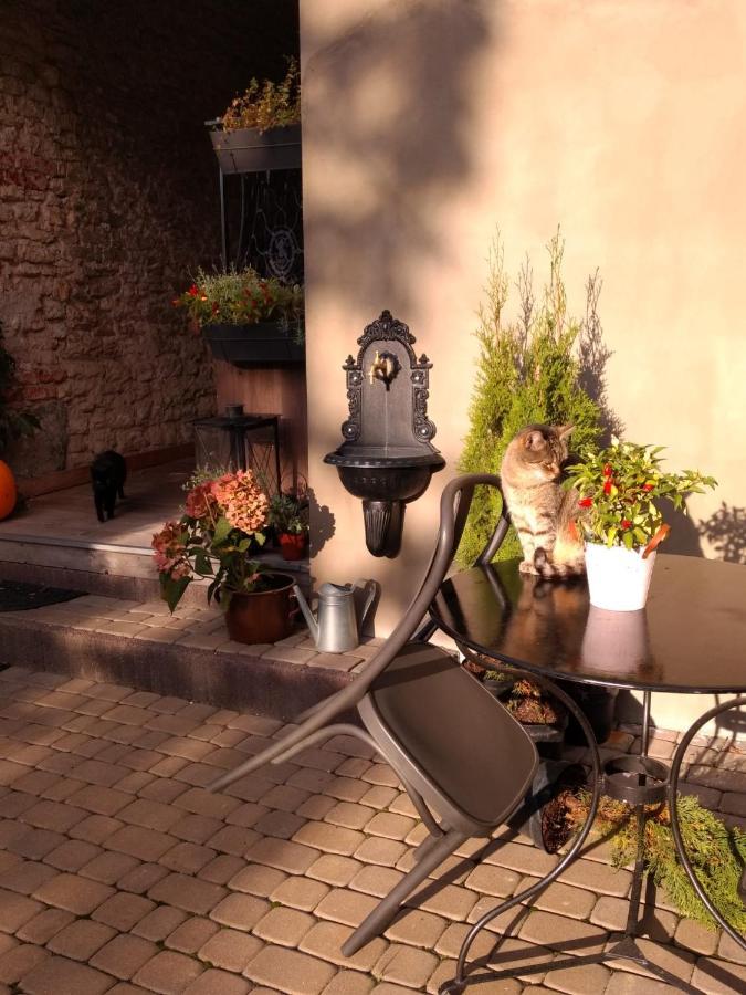 Babie Lato B&B Uniejow Bagian luar foto