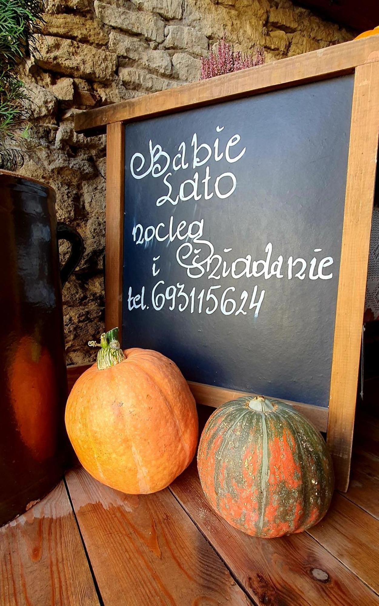 Babie Lato B&B Uniejow Bagian luar foto